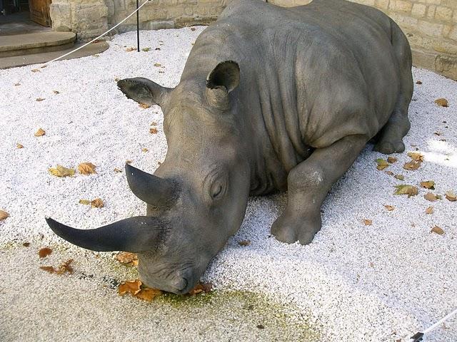 université des taies