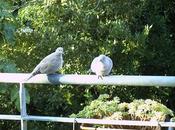 affaire genre braderie parfumée
