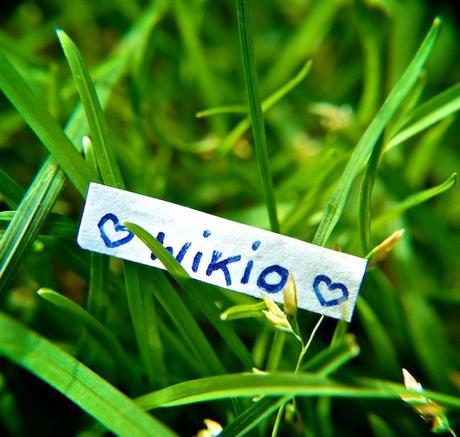 Roulement de tambours svp..... Roulement de tambours svp.....