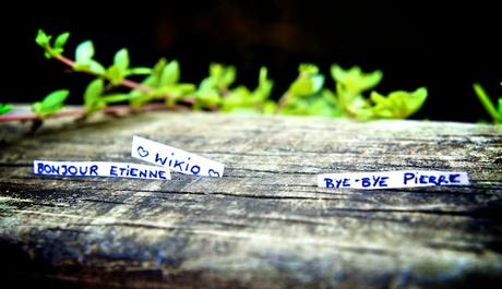 Roulement de tambours svp..... Roulement de tambours svp.....