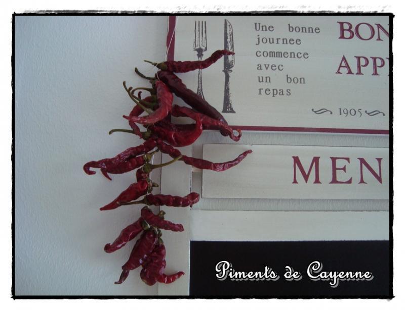 Les piments sèchent, 1er septembre 2011