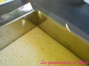 Framboisier d'anniversaire framboisier-emma-3-ans--4-.JPG