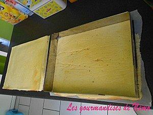 Framboisier d'anniversaire framboisier emma 3 ans (3)