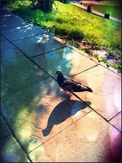 Polska 2011 - Un brin de visite