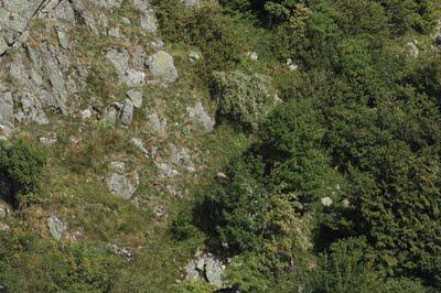 Au Kastelberg : il y a de la vie