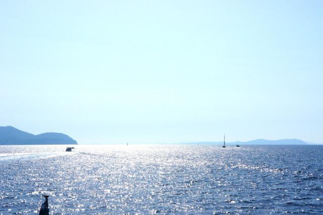 Image and video hosting by TinyPic