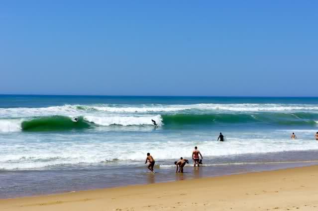 Image and video hosting by TinyPic