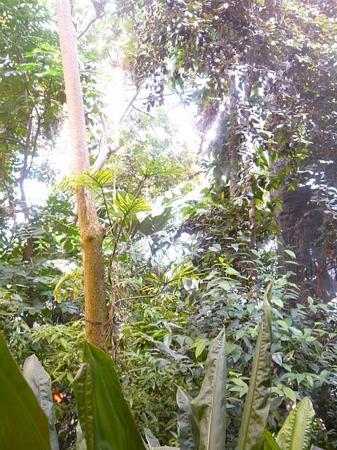 Une demi-journée au Biodôme