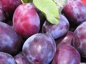 Tartelettes quetsches