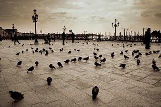 Sélection bloguesque (de la semaine 35-2011)