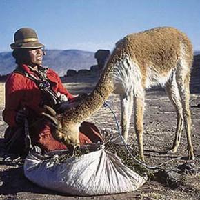 CDS de la France: pas le Pérou, à voir