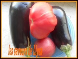 Za3louka d'aubergines (gratin d'aubergines) Za3louka d'aubergines (gratin d'aubergines)