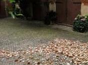 Summer Residency Lieu Commun