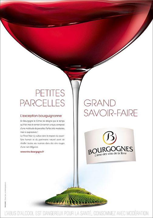 318697_258424190846119_108339412521265_870661_3997012_n