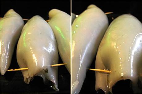 encornet farci du bento portugais