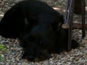 Même motivation n'était même pour tout mo...