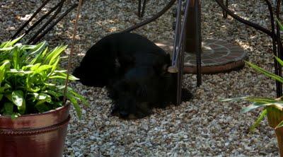 Même si la motivation n'était pas la même pour tout le mo...