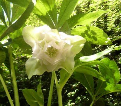 Même si la motivation n'était pas la même pour tout le mo...