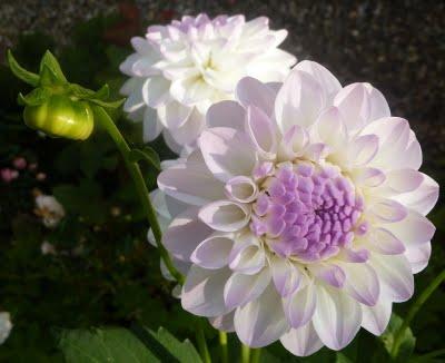 Même si la motivation n'était pas la même pour tout le mo...