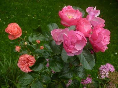 Même si la motivation n'était pas la même pour tout le mo...