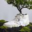 OAT Shoes et ses baskets green biodégradables !