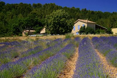 Partir hors saison en Provence