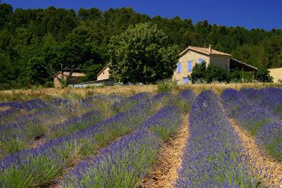 Location Provence Partir hors saison en Provence