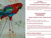 Sculpture rebecca campeau