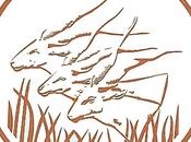 BEAC Recrutement agents d’encadrement supérieur