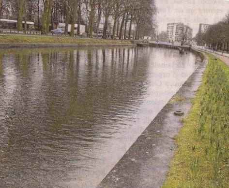 Les charmes d'une promenade au bord de la Deûle.