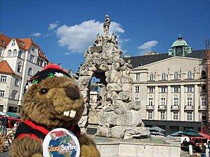 299376 2377814451574 1437013089 2782457 674227713 n