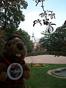 308846 2377806131366 1437013089 2782430 184037796 n