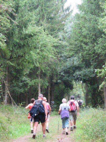 Marche de Contz-les-Bains, dans la forêt