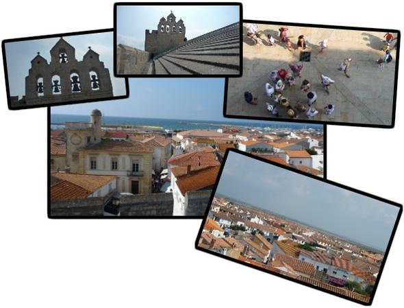 Effleurer la Camargue [1]