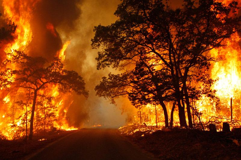 Ravageurs. Dans le centre du Texas, d'impressionnants feux de forêt ont fait deux morts, détruit quelque 500 maisons et entraîné l'évacuation de dizaines d'habitants selon le dernier bilan de ce mardi. L'incendie le plus dévastateur a été signalé dans le comté de Bastrop, où 25 km de territoire sont en flammes et où de gigantesques nuages de fumée envahissent le ciel. Ces incendies se sont propagés à l'aide des vents secs dégagés par la tempête tropicale Lee, qui a traversé le sud de la Louisiane au cours de la fin de semaine, après une grande sécheresse qui a touché l'état pendant l'été. 
