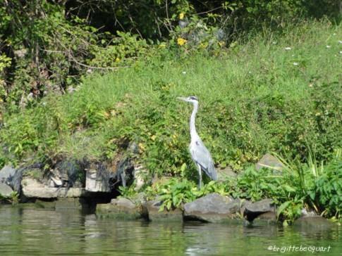 Un samedi  au long de la Deûle.
