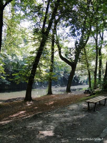 Un samedi  au long de la Deûle.