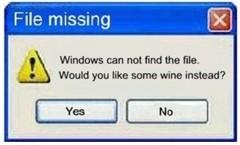Windows cannot find file some wine instead