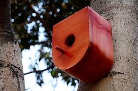 Nishant Jethi et sa Living Typography