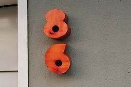 Nishant Jethi et sa Living Typography