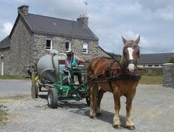 Depuis deux ans, Nayak assiste les agents communaux de La-Chapelle-Gaceline pour l'arrosage des plantes. © mairie LCG