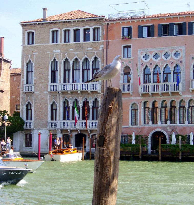 Ambiance Vénitienne : Grand Canal