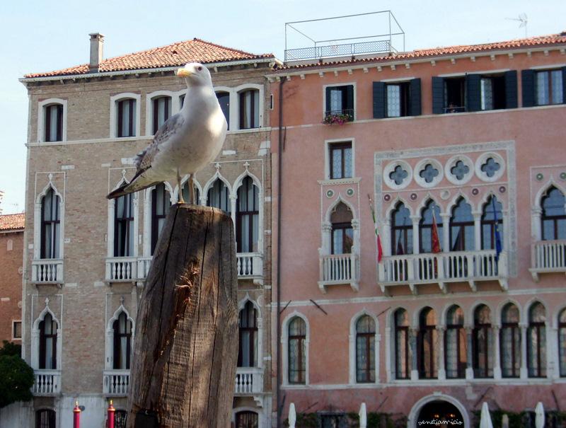 Ambiance Vénitienne : Grand Canal