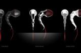 skullcandy3 160x105 Un concept découteurs flexibles nommés Ear Candy