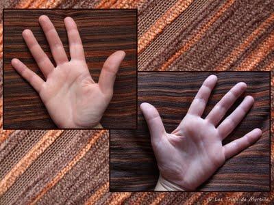 LIGNES - Projet photo 52 (semaine #36)