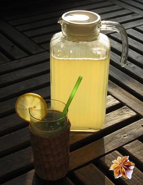 La citronnade des délices La citronnade des délices