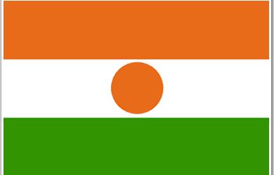 niger-flag