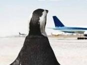 Première sélection pour prix Flore