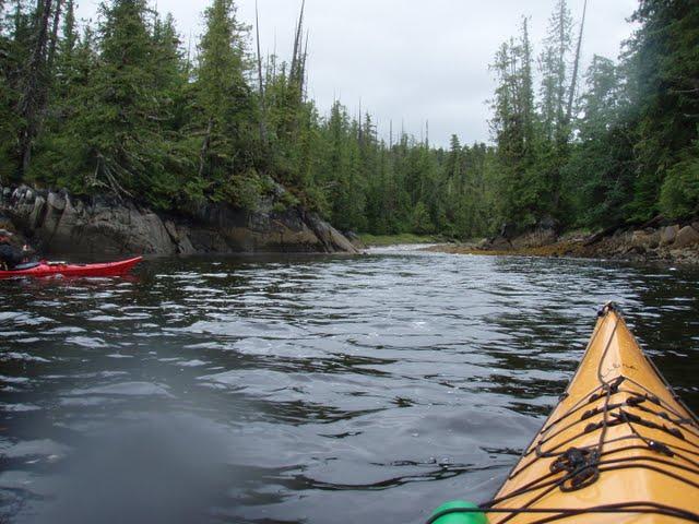 Croisière en Alaska: Se Sentir Petit Depuis un Kayak de Mer