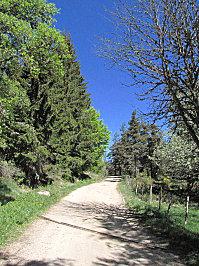 COMPOSTELLE 2011 174